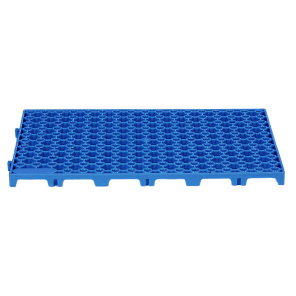 Estrado 300x200x16 - Azul