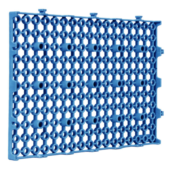 Estrado 300x200x16 - Azul - Image 5