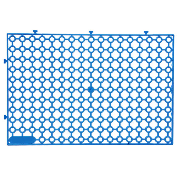 Estrado 300x200x16 - Azul - Image 4