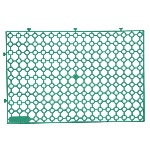 Estrado 300x200x16 - Verde - Image 4